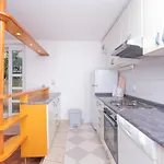 Palm Garden In Center With Big Terrace * Split