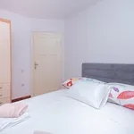 Apartman Palm Garden In Center With Big Terrace Split