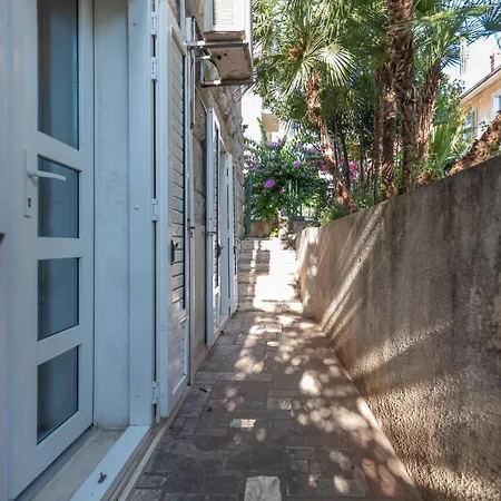 Palm Garden In Center With Big Terrace Appartement