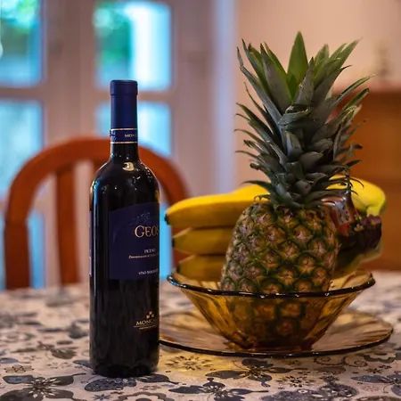 شقة Palm Garden In Center With Big Terrace *