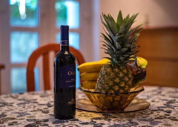 公寓 Palm Garden In Center With Big Terrace *