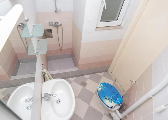 公寓 Palm Garden In Center With Big Terrace 斯普利特